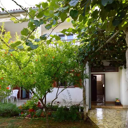 Apartment Valbandon 4 *